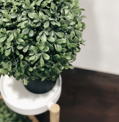 Elegant Pots