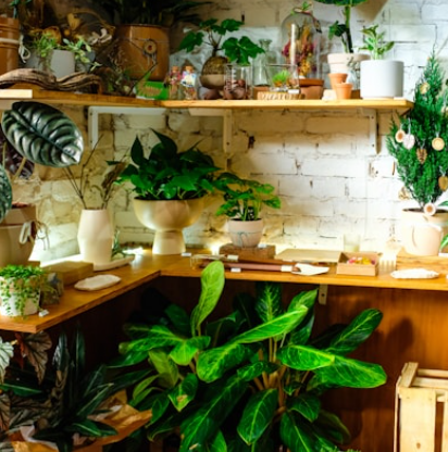 Greenery